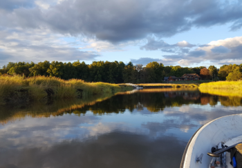 Image of a tidal marsh