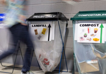 Fans dispose of trash in organized bins at Foley Field during a zero waste initiative in 2023. (Photo by Chamberlain Smith/UGA)