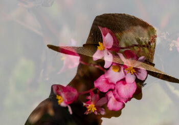 A dual exposure image of John Ruter and pink flowers at the Trial Gardens