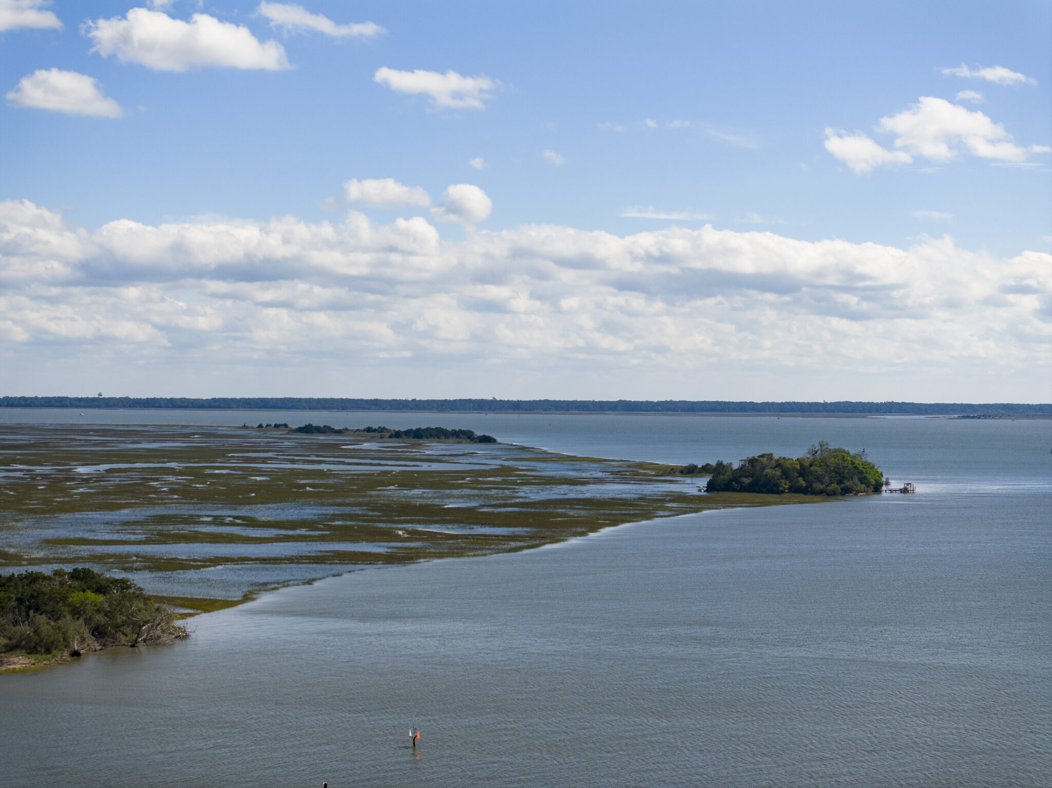 For the love of salt marshes: Michelle Covi fights for coastal ...