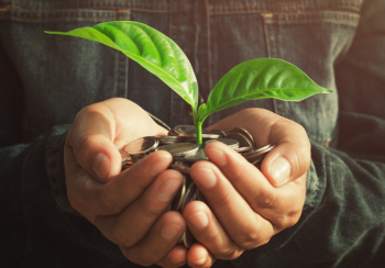 Person holding coins in their cupped hands and a small green plant growing out from the coins.