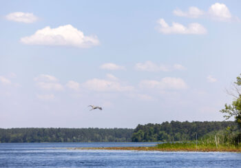 The researchers collected field data from 550 rivers across the globe, collaborating with more than 150 researchers in 40 countries, for the new study. (Photo by Dorothy Kozlowski)