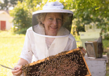 Woman smiling in a beekeeper suit holding up a honeybee hive from a bee box.