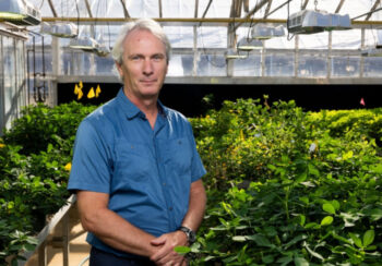 Scott Jackson first came to the university in 2011 as the GRA Eminent Scholar in Plant Functional Genomics in the College of Agricultural and Environmental Sciences. (Photo by Andrew Davis Tucker)