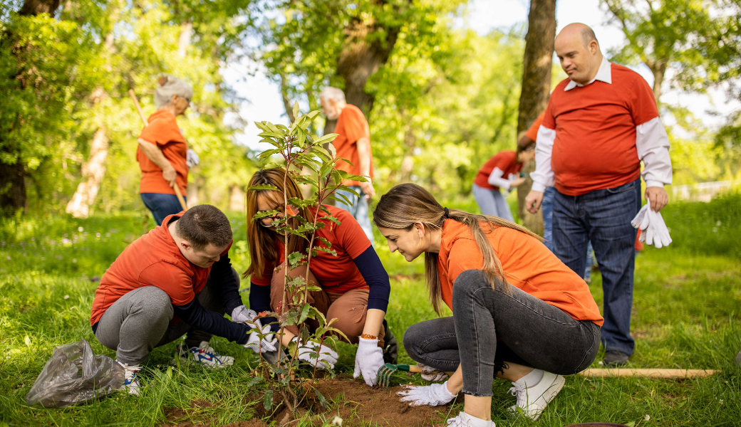 People living in disadvantaged communities or areas with high levels of economic inequality were less likely to volunteer, according to a new UGA study.