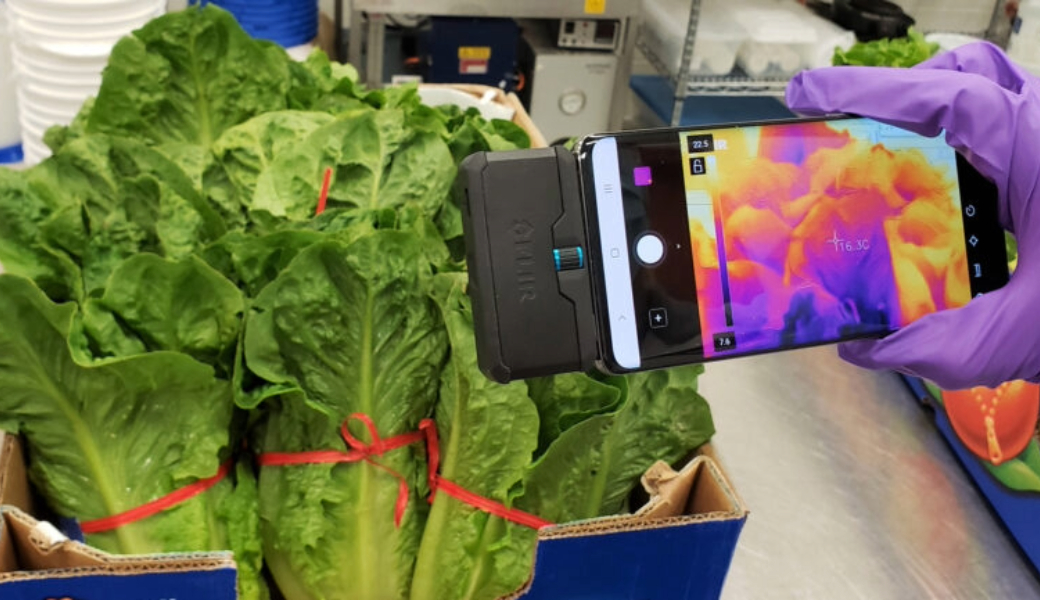 Technology helps monitor temperature fluctuations, could help reduce food waste, improve quality Before your favorite produce arrives at the grocery store, it must be carefully harvested and maintained across long stretches of time. A recent University of Georgia review suggests new temperature measuring technologies could make that process much simpler, amid growing agricultural challenges fueled by fluctuating climates. Maintaining temperature, humidity and light is critical to ensuring fruits and vegetables don’t spoil or deteriorate rapidly. Temperature spikes are the root of adverse outcomes like premature spoilage and rotting, so monitoring these changes quickly and accurately is key. Researchers say thermal imaging technology could help control temperatures before and after harvesting fruit and vegetables. “Measuring temperature in food processing environments has to be done right,” said Kevin Mis Solval, lead author of the study and an associate professor in UGA’s College of Agricultural and Environmental Sciences. “We do it on a regular basis to make sure we have the proper conditions for producing safe products, but it may not always be done practically. These types of thermal imaging tools are not only feasible but cost-effective and good at measuring temperature profiles. That is beneficial for a farmer or food processing facility.” A thermal image can replace old-school thermometers in some environments Mis Solval evaluated the technology as a tool for rapidly sensing abrupt temperature changes in crops in real time. By collecting infrared radiation of fruits and vegetables, thermal imaging technology can gauge temperature without contact. These types of cameras are readily available to food producers and range from industrial-grade cameras to smartphone attachments. But they have one thing in common: If there’s a drastic temperature spike, the technology can flag it. “Once you harvest, there is a decomposition process that starts right there, so in some instances a rapid cooling process is very critical for extending the shelf life of fresh produce,” Mis Solval said. “If this cooling process is not done correctly, then the shelf life of some fruit and vegetables is significantly shorter. We’re talking two weeks compared to three or four days.” Many leafy greens must be picked and then immediately cooled, for example, so a quick temperature measurement must match that speed. Currently, farmers and harvesters use conventional thermometers to capture the temperature of one or two items. But that process is not only time-consuming but potentially damaging to the product. Poking and prodding fruits and veggies for an accurate temperature reading can cause minor damage and increase the risk of cross-contamination. Thermal imaging technology could save produce from the trash External heat flux in the harvesting process is more common than it used to be. Extreme temperatures, intense solar rays and drought stress are making products on the field more at risk for defects. Ideally, thermal imaging technology will be automated in the future to further optimize the processing of preharvest and postharvest. Thermal imaging technology has been effective in evaluating the quality of seeds and food safety, but this is the first time it has been considered for such a key part in the pre- and postharvest processes of fresh produce. This type of technology could make or break the quality of produce you put in your shopping basket. “Items with a shorter shelf life have less of a chance to reach the marketplace,” Mis Solval said. “If it doesn’t meet the quality criteria for the supermarket, it’s going to be discarded. If it makes it to the consumer and fails in quality, it’s going to be thrown away. We are making sure quality produce reaches the final consumer.” Funded by the Center for Produce Safety and published in Scientia Horticulturae, the review was co-authored by Yen-Con Hung and Boran Yang, of UGA’s Department of Food Science and Technology; Govindaraj Dev Kumar, of UGA’s Center for Food Safety; and Kaitlyn Casulli, of UGA’s Department of Food Science and Technology.