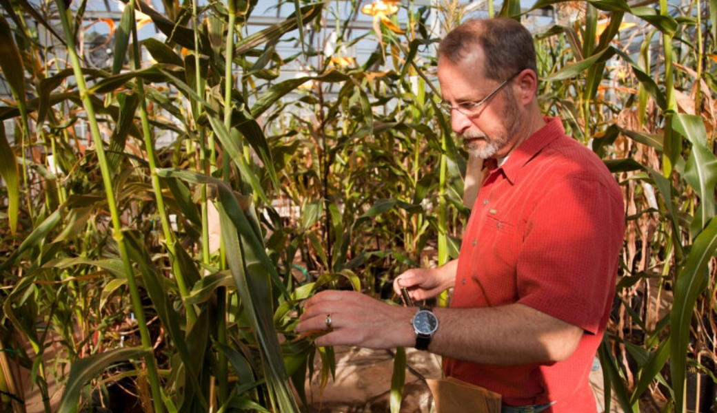 Kelly Dawe's $1.8 million grant from the National Institutes of Health will answer fundamental questions on the genetic sources of cancer.