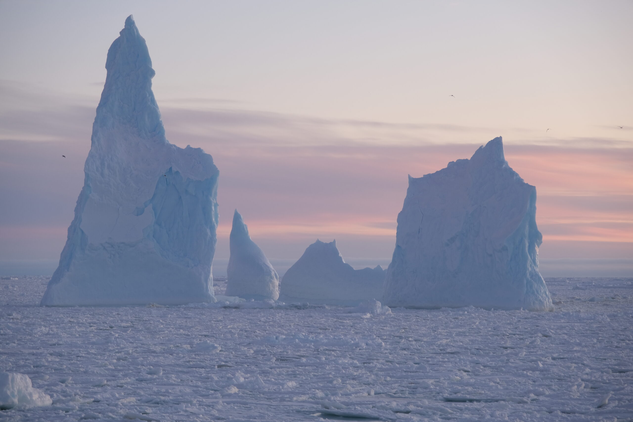 Large icebergs