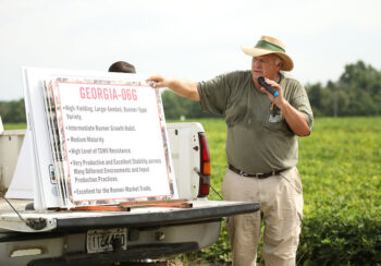 Bill Branch has been elected as Fellow for the National Academy of Inventors (NAI). Branch’s groundbreaking work in peanut breeding has led to the development of more than 30 novel, licensed peanut varieties.