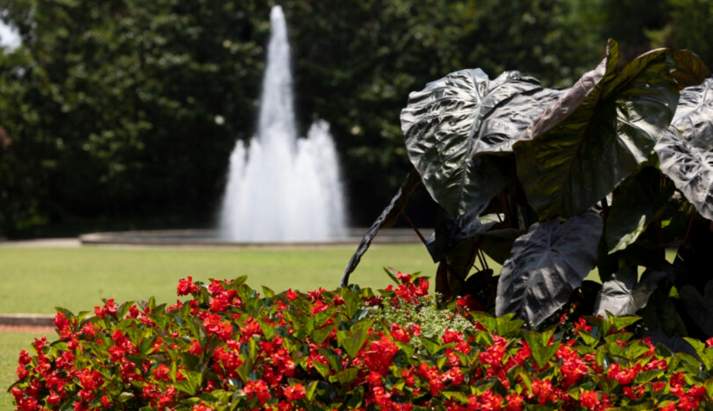 Image of the Fountain at UGA