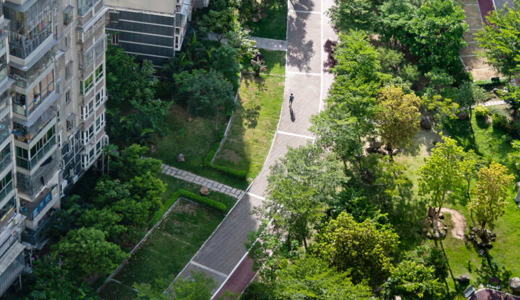 A new study from UGA found that improved urban planning could create communities with environmental factors that can help reduce the risk of cognitive decline.