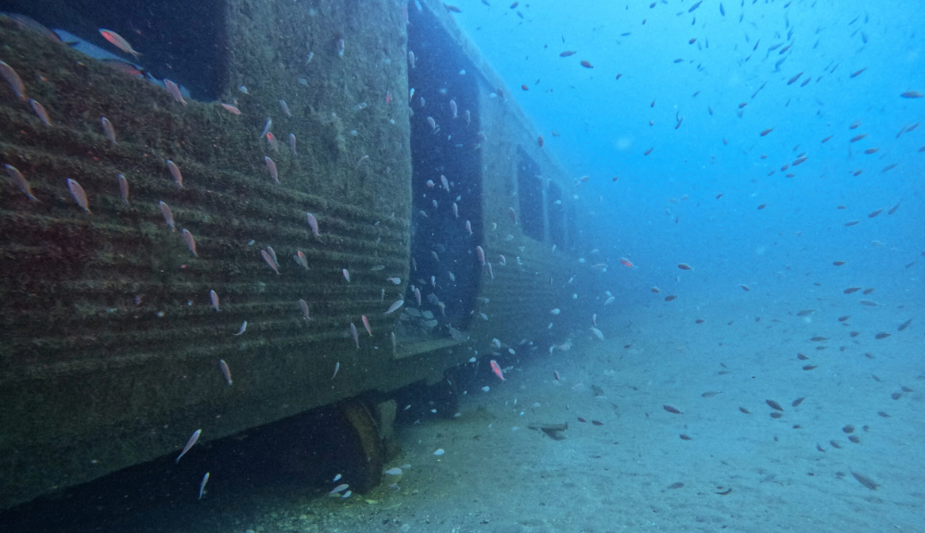 MARTA Rail Cars deployed as artificial reefs on L Reef off the coast of Georgia. Captured seven months after deployment by GA Department of Natural Resources divers.