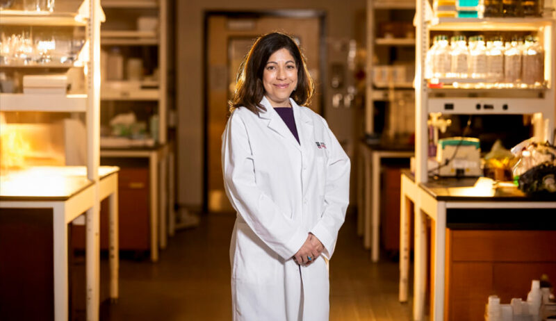 Dr. Yana Zavros, UGA’s inaugural Georgia Research Alliance Eminent Scholar in Molecular Medicine in the School of Medicine, is bringing a new dimension to cancer research.