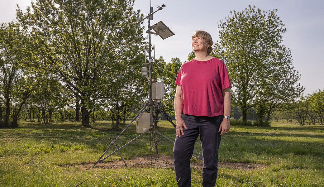 UGA Weather Network Director Pam Knox monitors the effects of climate change on agriculture throughout the U.S. Here, she checks a weather monitoring system at Durham Horticulture Farm in Watkinsville, Georgia. (Photo by Dennis McDaniel)