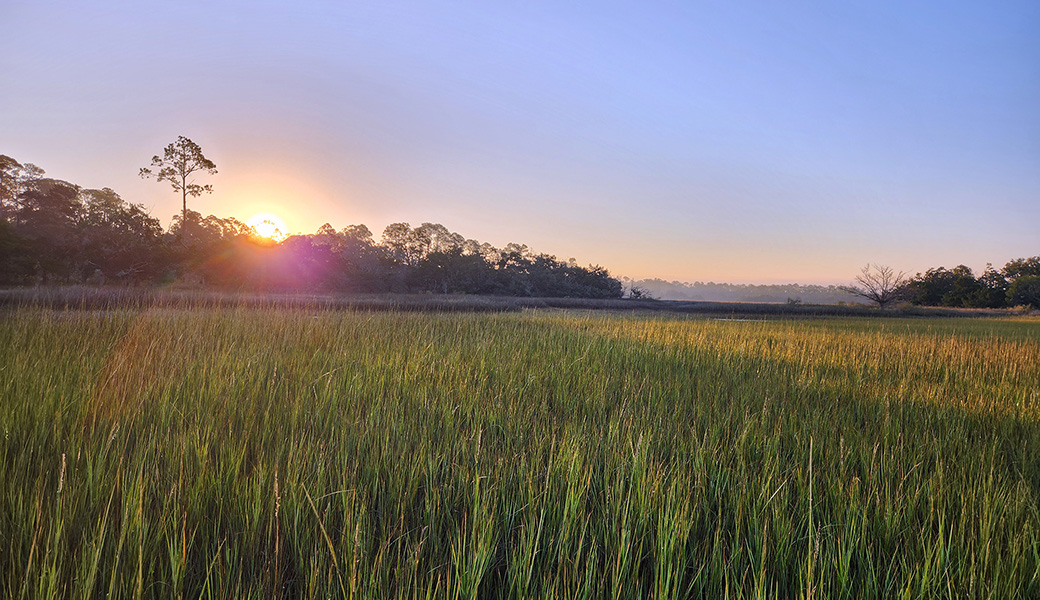 The sun rises over a salt marsh on Sapelo Island.