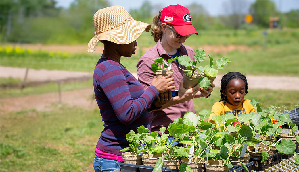 People sorting through Heirloom Collards just picked from a field.