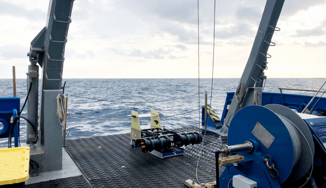 To obtain a representative sample of zooplankton traits, the SkIO scientists used a modular Deep-focus Plankton Imager (mDPI), which was deployed from the Research Vessel Savannah during research cruises in the South Atlantic Bight. (All photos submitted.)