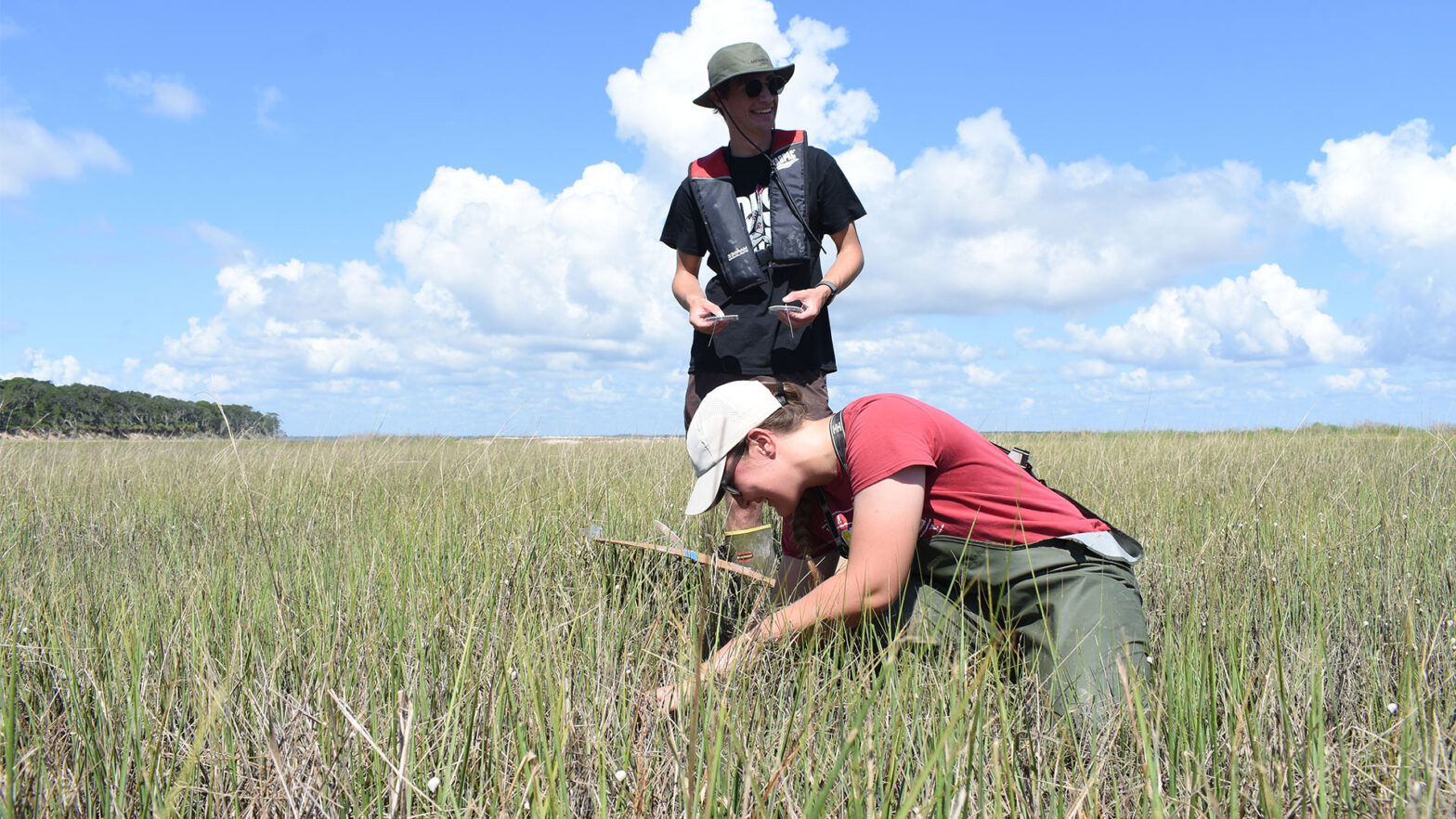 In June, researchers from Skidaway Institute of Oceanography Director Clark Alexander’s lab analyzed sediment delivery and retention rates in the marshes of Georgia’s Cumberland Island. Here, marine sciences graduate student Jazlyn Beeck (front) and summer intern Nick Zwiers place filters in the marsh to measure sediment deposition over 24-hour timescales. (Photo by Jackson Schroeder)