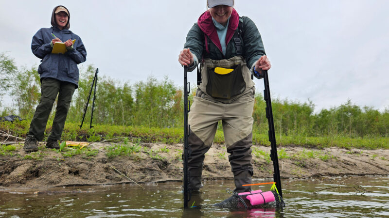 Aurora Fowler (right), a graduate student in the Odum School of Ecology, spent many hot summer days along the Missouri River floodplains studying the role restored floodplain wetlands play in supporting native biodiversity. In this photo, Fowler and research technician Reese Young-Oestmann set a minnow trap at the Nishnabotna Conservation Area. (Photo provided by Aurora Fowler)