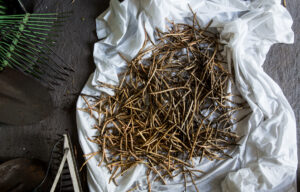 Geechee red peas