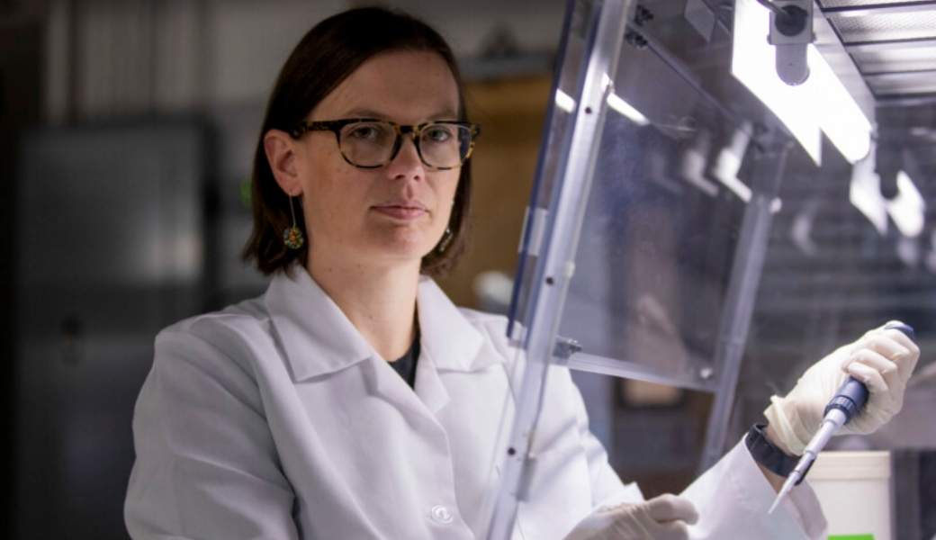 Entomology Professor Gaelen Burke works in her laboratory at the UGA Biological Sciences Building. (Photo by Andrew Davis Tucker/UGA)
