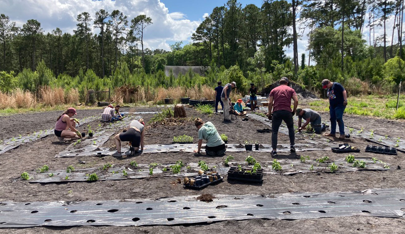 Students work in a garden on Sapelo Island