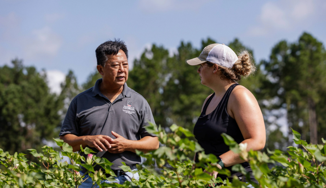 And image of Peng Chee and a woman talking in a cotton field.