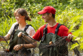 Undergraduate student Natalie Hayward and Professor Jim Beasley hold a part of a seine net in a creek during a Forestry Field Herpetology Course.