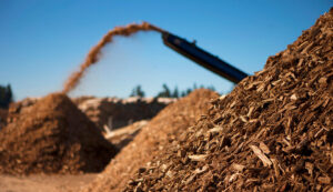 image of piles of woody biomass