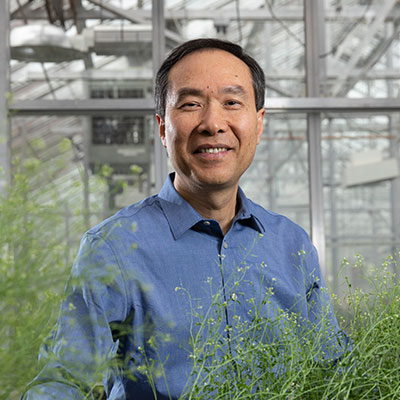 Zheng-hua Ye portrait