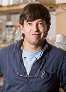 Andrew H. Paterson