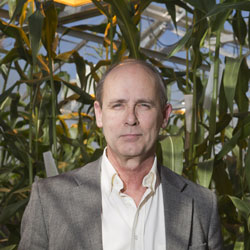 Jeffrey Bennetzen