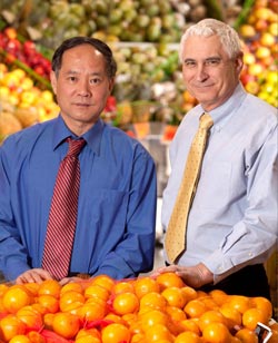 Mike Doyle and Tong Zhao
