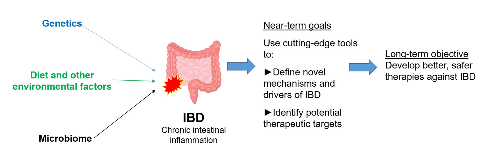 Mechanisms and Drivers of Inflammatory Bowel Diseases