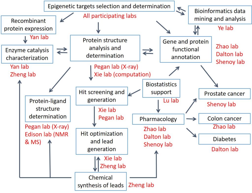 Drug Development in the Epigenetics Domain