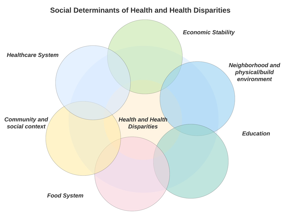 social determinants of health and health disparities venn diagram