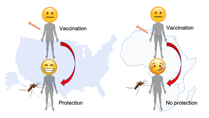 vaccine efficacy graphic