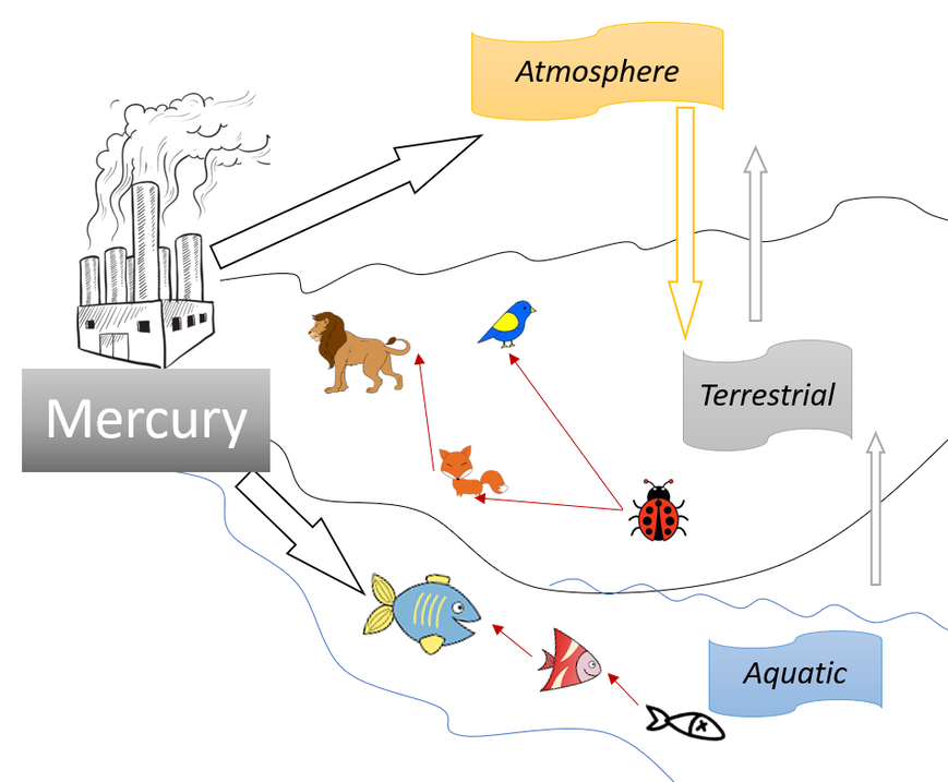 Tracking Mercury Pollution Sources graphic