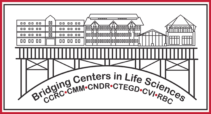 Bridging Centers in Life Sciences logo