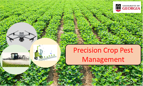 Precision Crop Pest Management