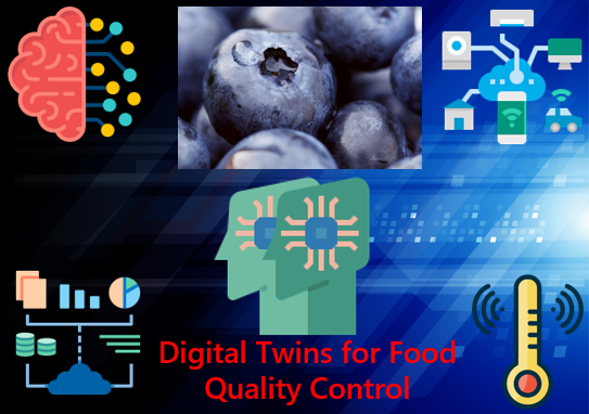 Precision in Food Supply Chains: The Digital Twin Approach