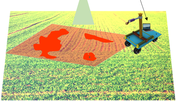 Advancing Precision Crop Pest Management Strategies for Sustainable Agriculture