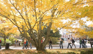 UGA students and fall foliage
