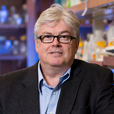 UGA GRA Eminent Scholar Stephen Dalton