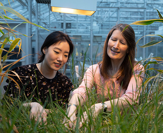 Katrien Devos in Greenhouse with Graduate Student