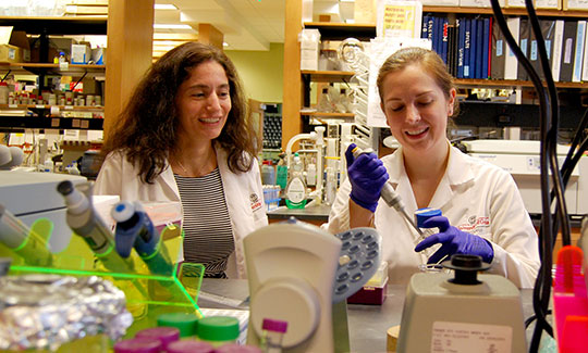 two researchers working in laboratory